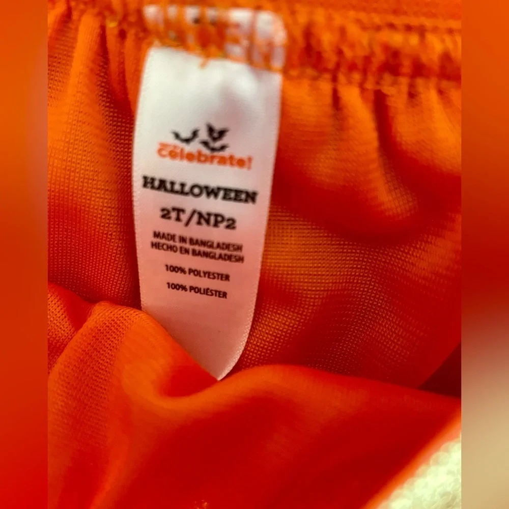 Oshkosh Halloween costume size 2T